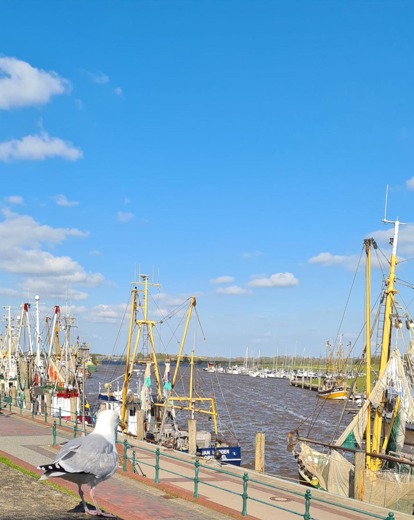 Ferienhaus Nordseeglueck Im Ferienpark Berumbur Zewnętrze zdjęcie